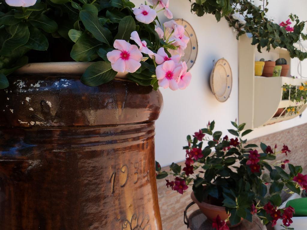 B&B Il Viandante Mesagne Kültér fotó